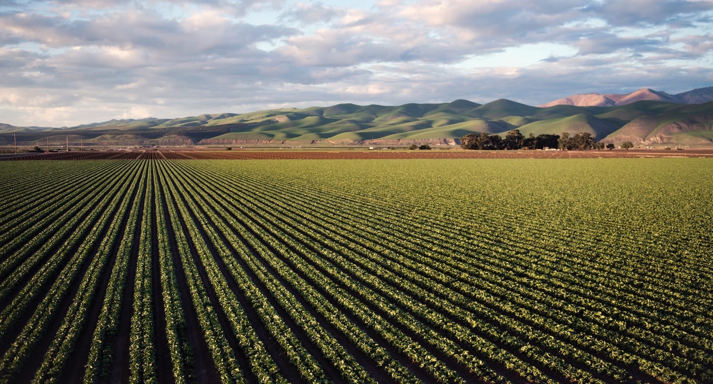 MS Dyn365 Business Central Agrofood